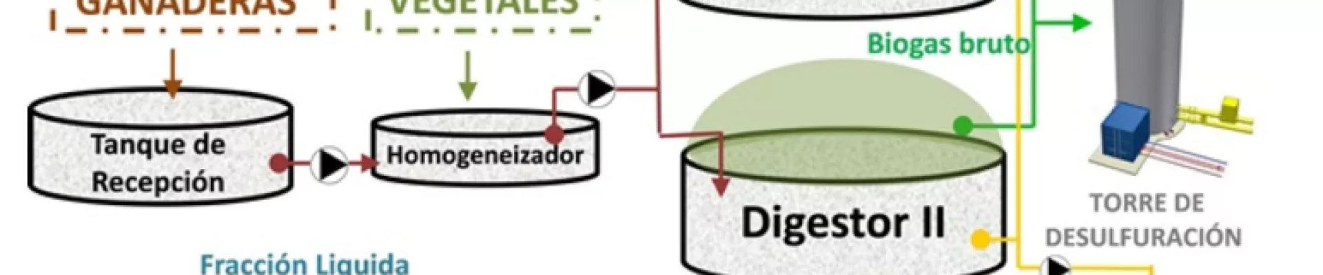 Esquema de funcionament d’una planta de biogàs (Stop Ganadería Industrial)