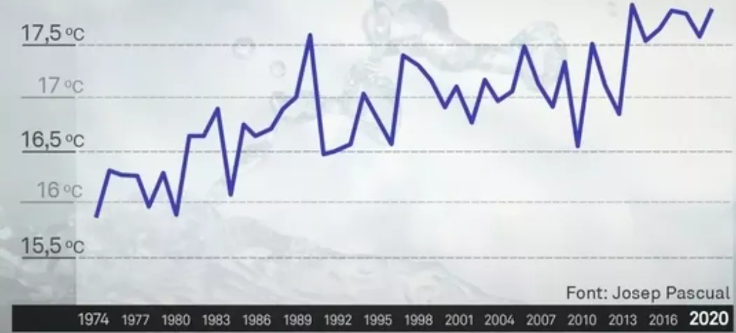 (FIGURA 25) TEMPERATURA SUPERFICIAL L'ESTARTIT 1974-2020 (Josep Pascual).png