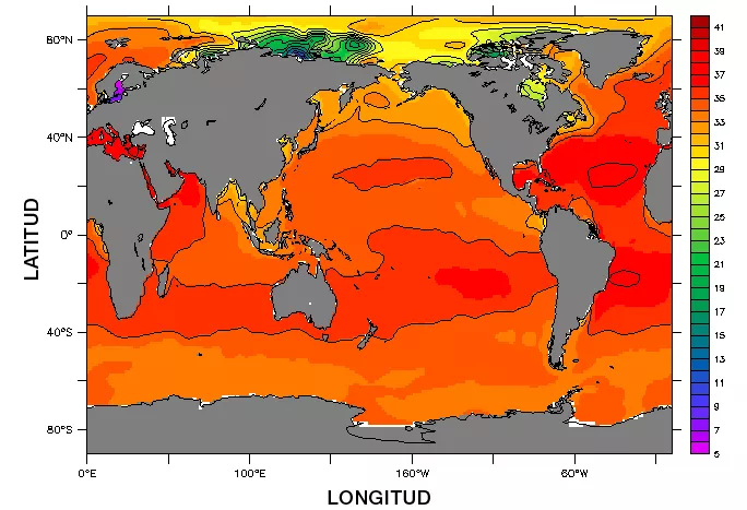 Diferencias de salinidad en los océanos según la escala de colores, de menor, púrpura, a mayor, rojo (NOAA).