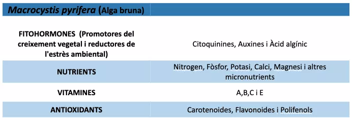 Components principals de Macrocystis pyrifera, espècie de laminària que habita a latituds mitges i elevades de les costes del Pacífic