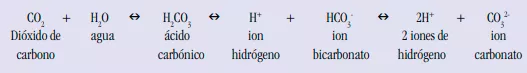 Esquema de dissolució del CO2 dins de l’aigua marina (Okeanos Explorer, NOAA)