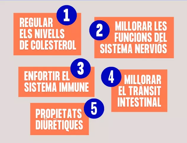 Propietats per la salut del consum d’algues (Menja, Actua, Impacta)