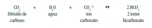 FIGURA 8: Reacció bàsica entre el diòxid de carboni, l’aigua i els ions de carbonat (Okeanos Explorer, NOAA)