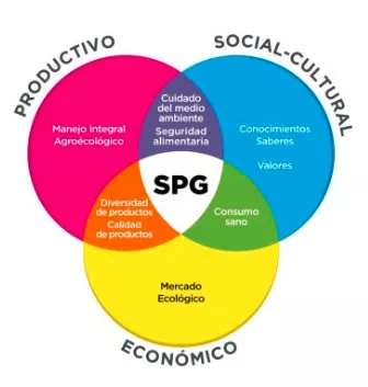 Valors principals que contemplen els Sistemes Participatius de Garantia (Laercio Meirelles, 2009)