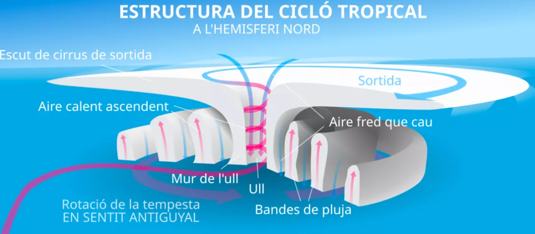 Estructura bàsica d'un huracà (NOAA, 2024).png