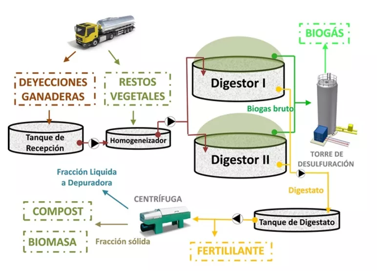 Esquema de funcionament d’una planta de biogàs (Stop Ganadería Industrial)